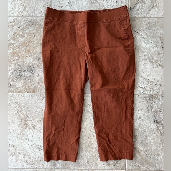 SPANX On-The-Go Ankle Slim Straight Pants in Dark Bronze Orange, size 2X - Picture 11 of 11